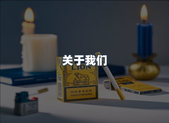 专业团队